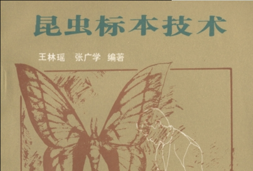 昆蟲標本技術 昆蟲標本技術