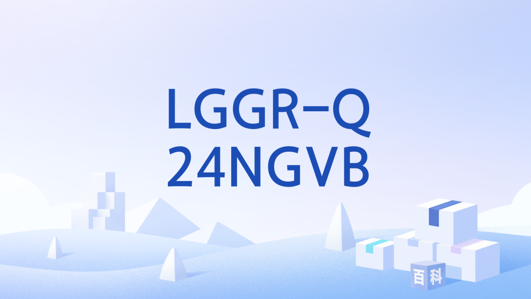 LGGR-Q24NGVB LGGR-Q24NGVB