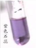 紫色石蕊試液