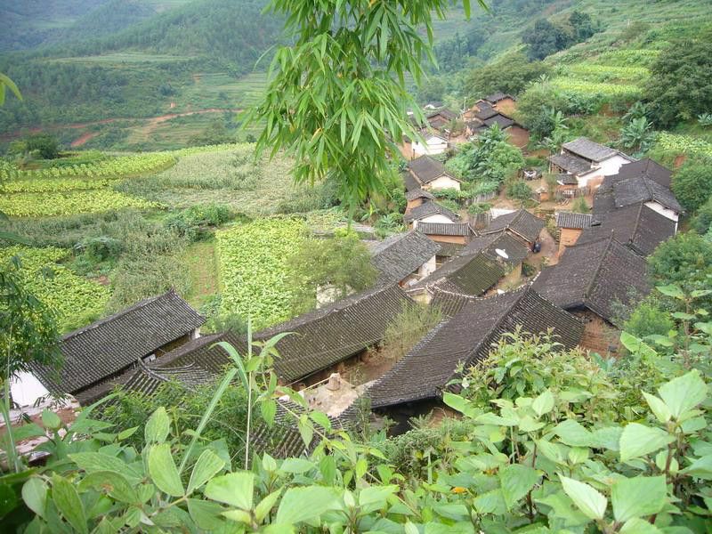 灑嶺崗村 灑嶺崗村