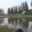 丹陽新河 丹陽新河