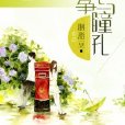 風箏與瞳孔