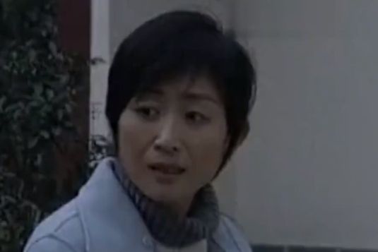於建平(情感劇《好好過日子》中的角色) 於建平(情感劇《好好過日子》中的角色)