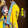 青衣淚(歌曲) 青衣淚(歌曲)