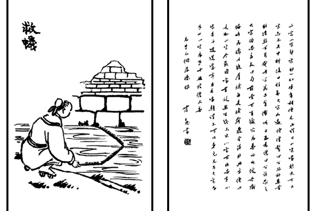 救蟻 救蟻