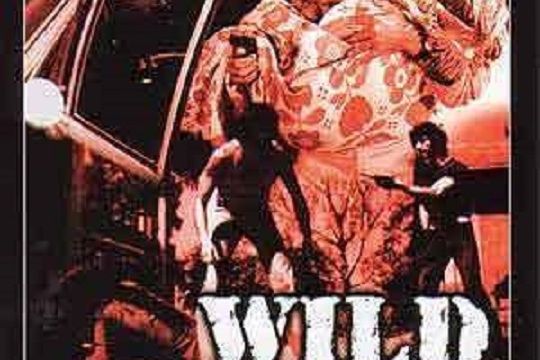 The Wild Dogs The Wild Dogs