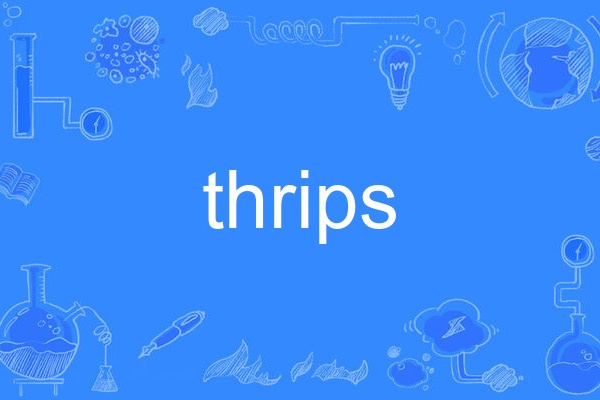 thrips