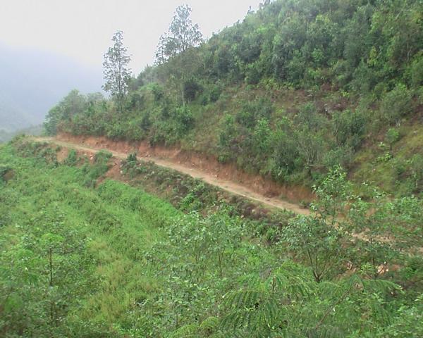 河西邊村 河西邊村