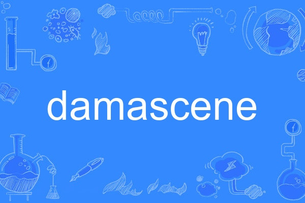 damascene damascene