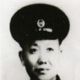 彭輝(河南省軍區原副司令員)