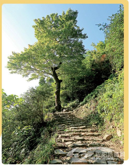 遙嶺古道(位於平陽山門鎮西垟亭村至文成縣雙桂鄉桂東村城底自然村的古道) 遙嶺古道(位於平陽山門鎮西垟亭村至文成縣雙桂鄉桂東村城底自然村的古道)