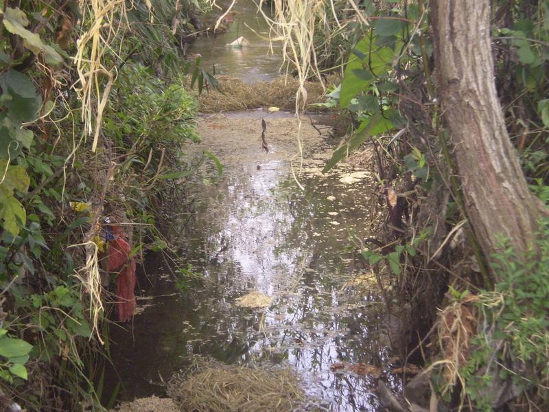 中東方村灌溉水渠