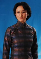 夜來香(2008年劉家成執導電視劇)