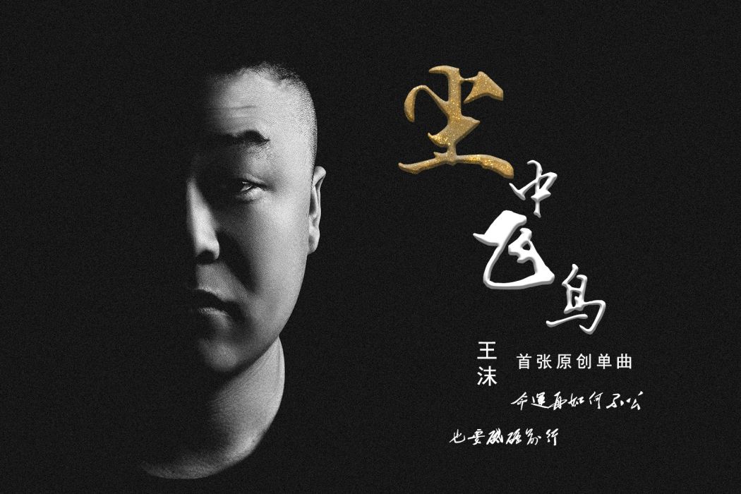塵中飛鳥(王沫演唱的歌曲) 塵中飛鳥(王沫演唱的歌曲)