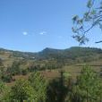 大箐村(峨山縣塔甸鎮大西村民委員會下轄村) 大箐村(峨山縣塔甸鎮大西村民委員會下轄村)