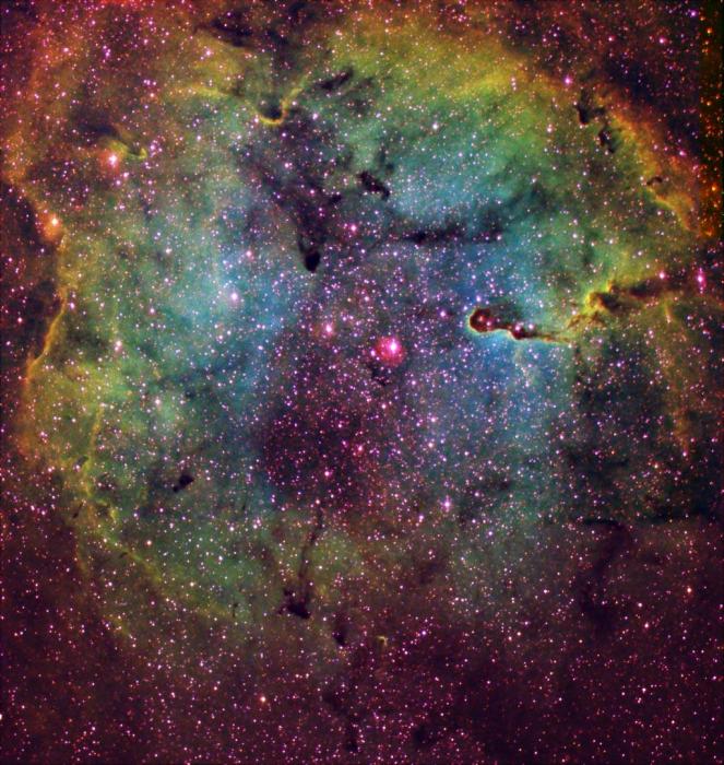 IC 1396 IC 1396