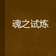 魂之試煉 魂之試煉