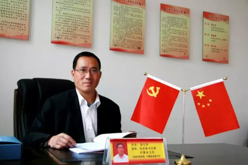 胡云華(江西新余市渝水區良山鎮下保村黨總支書記)