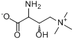 (S)-胺基酸肉鹼