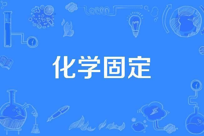化學固定 化學固定
