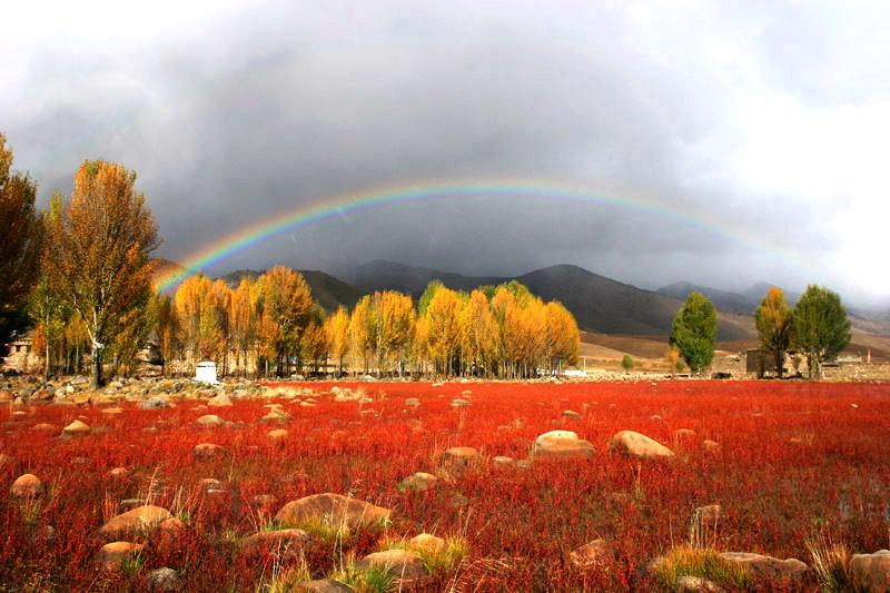 紅草地