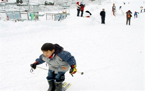 西嶺雪山滑雪場
