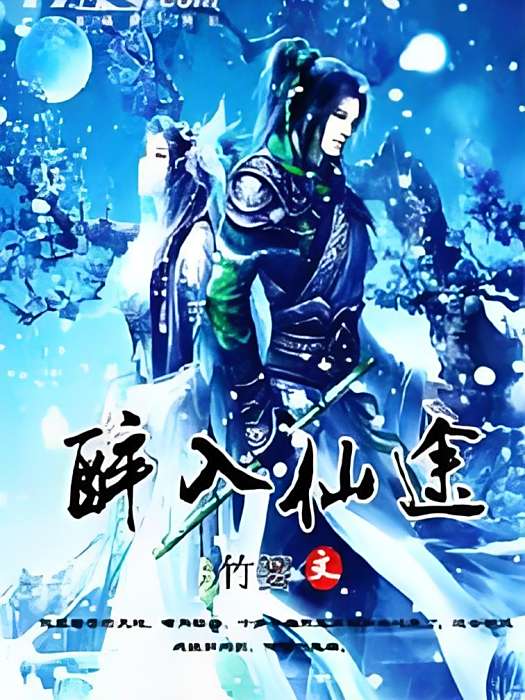 醉入仙途