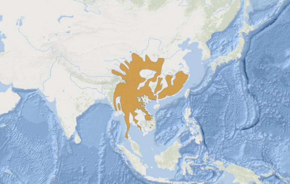 中華鬣羚分布圖