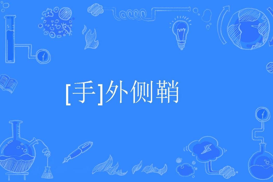 [手]外側鞘