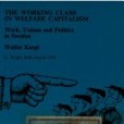 The Working Class in Welfare Capitalism The Working Class in Welfare Capitalism