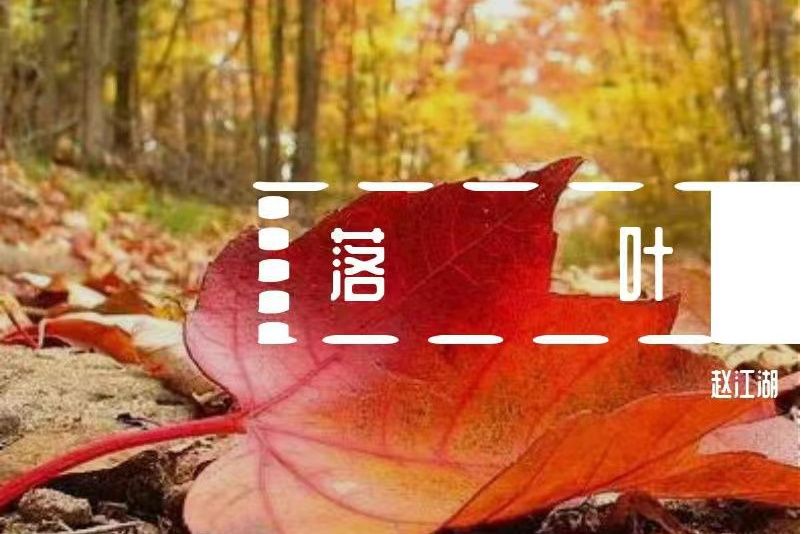 落葉(趙江湖演唱的歌曲) 落葉(趙江湖演唱的歌曲)