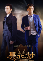 曇花夢(2014年曾曉欣執導電視劇)