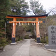 宇治上神社 宇治上神社