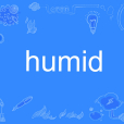 humid humid