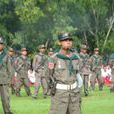 孟邦民族解放軍
