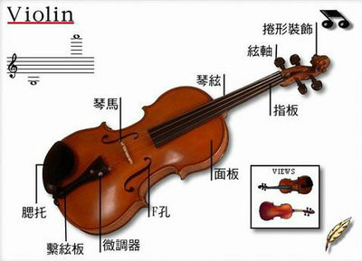 小提琴的詳細介紹