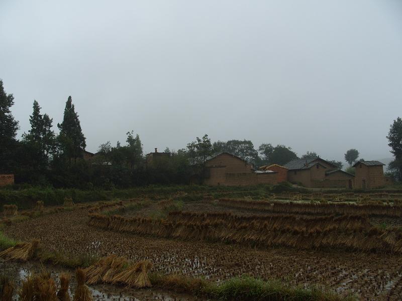 蔣家壩村(通泉鎮雞頭村下轄自然村) 蔣家壩村(通泉鎮雞頭村下轄自然村)
