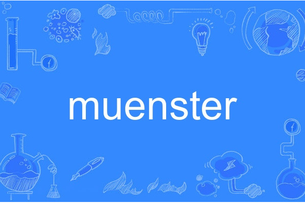 muenster muenster