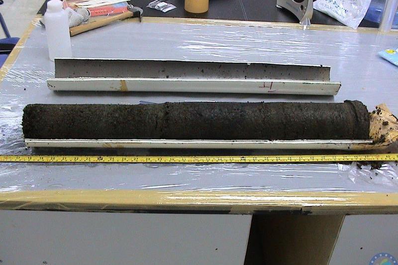 DM3