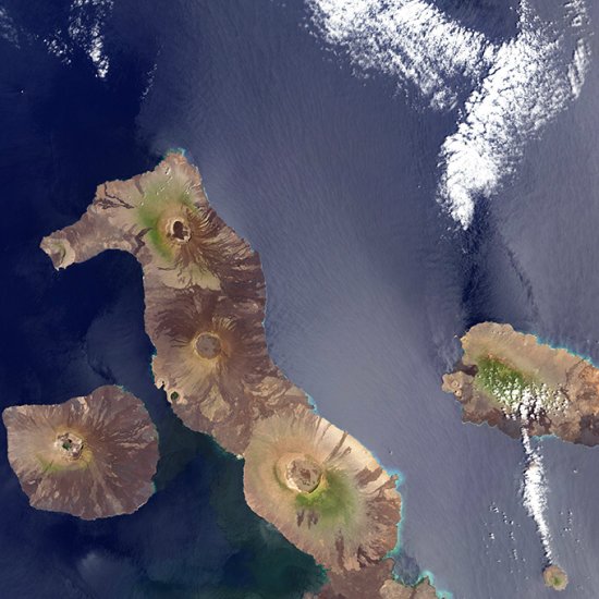 加拉帕哥斯群島