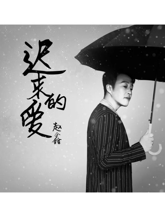 遲來的愛(趙鑫演唱歌曲) 遲來的愛(趙鑫演唱歌曲)