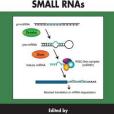 Regulation of Gene Expression by Small RNAs Regulation of Gene Expression by Small RNAs