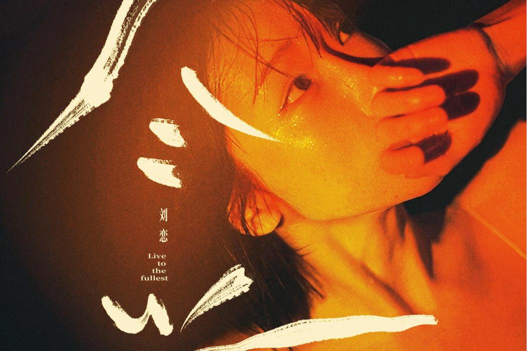 盡興(劉戀演唱的歌曲) 盡興(劉戀演唱的歌曲)