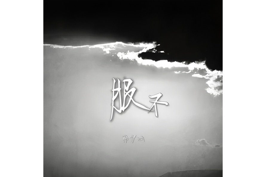 服不 服不