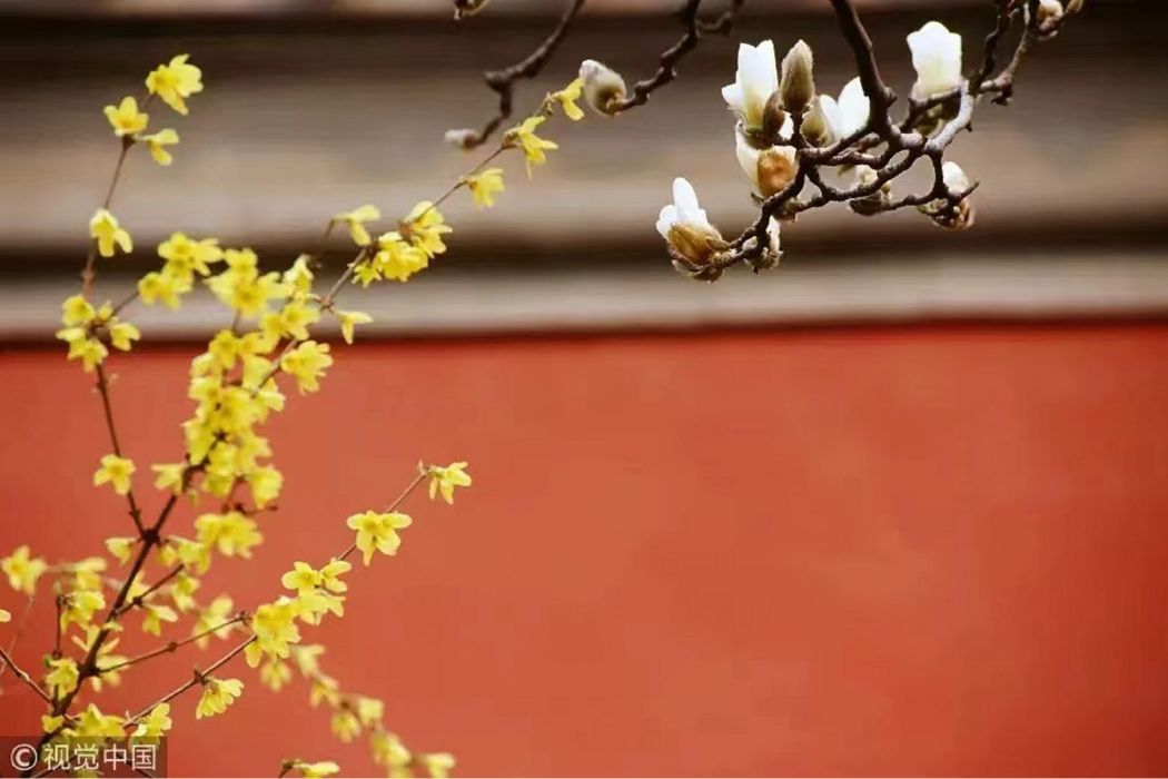 好時節(劉為新原創歌曲) 好時節(劉為新原創歌曲)