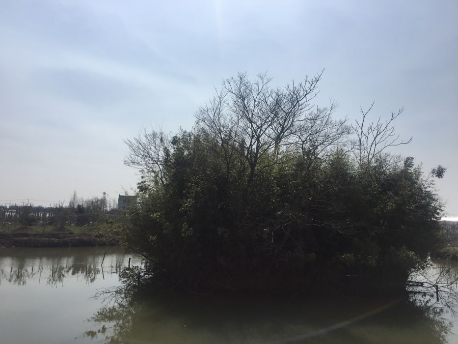 西王廟 西王廟