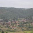 鶯歌村 鶯歌村