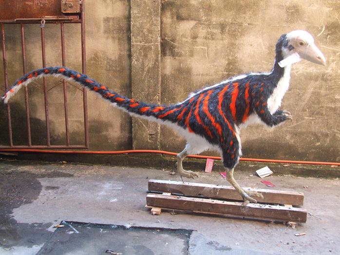 火鳥龍 火鳥龍