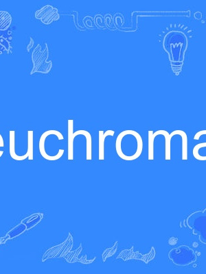 euchromatin euchromatin