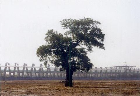 小寨子村(雲南德宏梁河縣芒東鎮下轄村) 小寨子村(雲南德宏梁河縣芒東鎮下轄村)